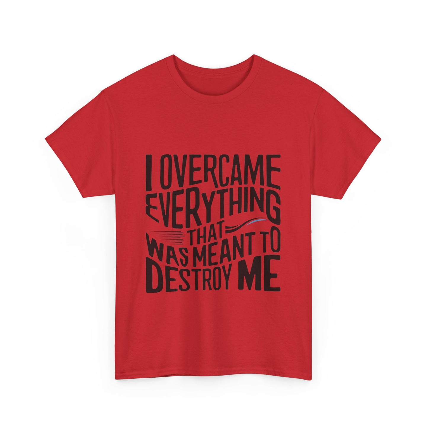 I Overcame Everything That Was Meant To Destroy Me  T Shirt with Hearts