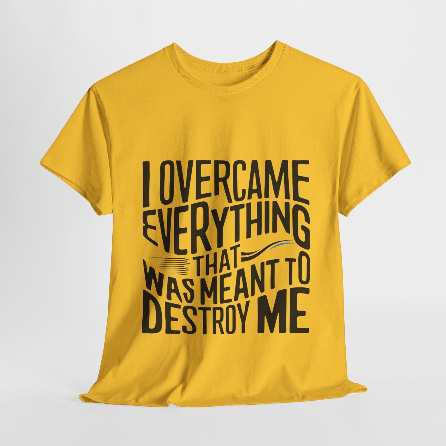 I Overcame Everything That Was Meant To Destroy Me  T Shirt with Hearts